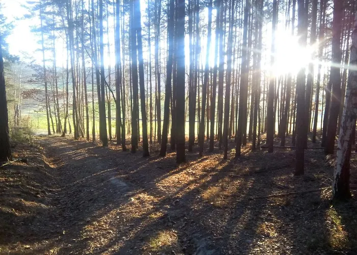 Ferienwohnung Landliebe