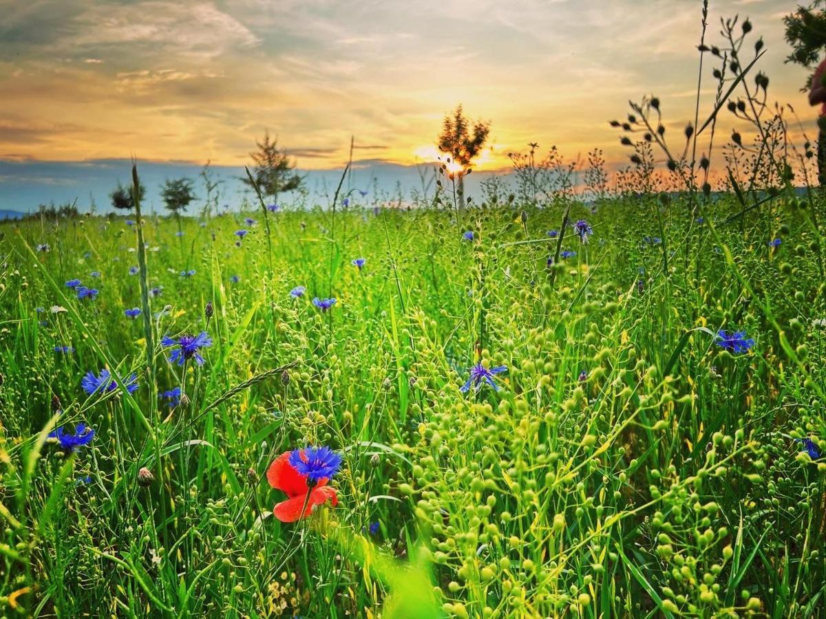 Landliebe *